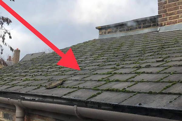 Asbestos Roof Tile Removal Asbestos Fighters