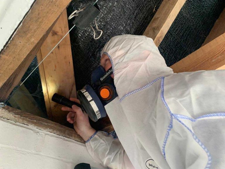 ASBESTOS SUPERVISOR JOB DESCRIPTION visual data 3