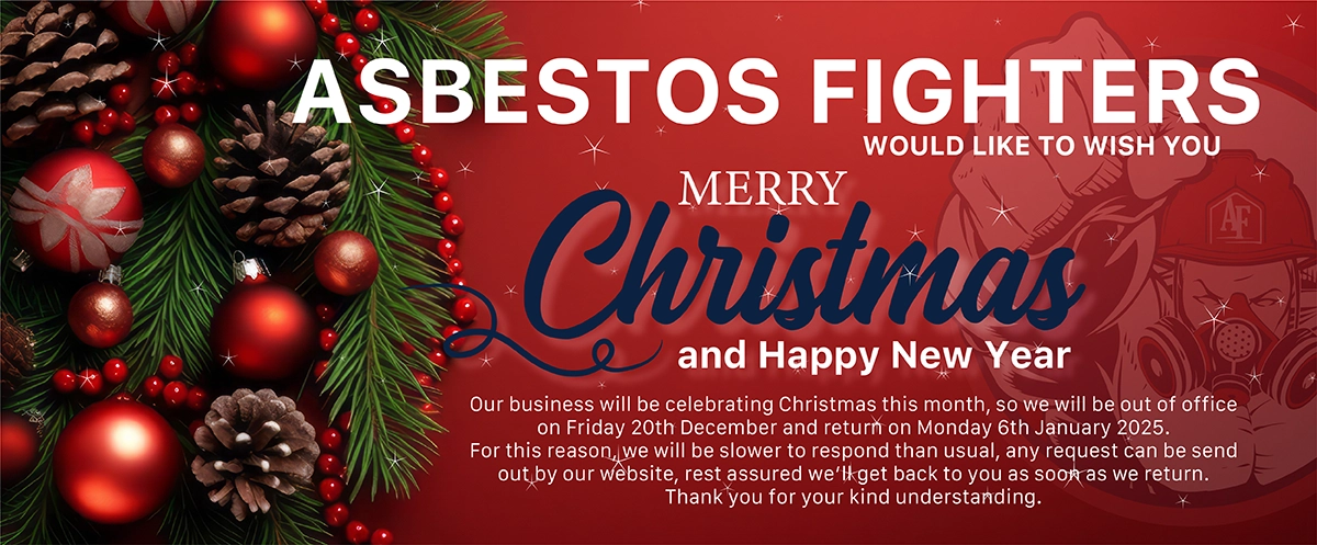 Asbestos Fighters Xmas Banner